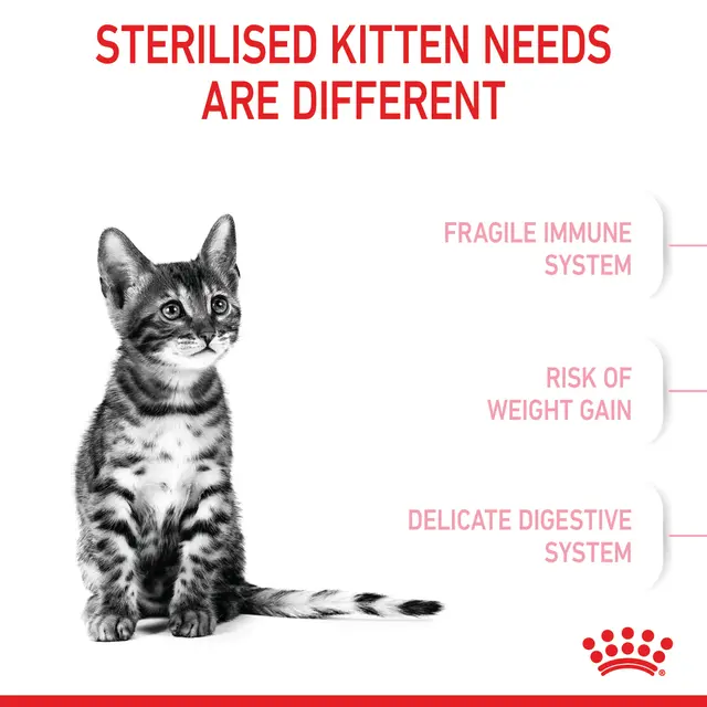 Alimento para Gato Royal Canin FHN Kitten Sterilised Hasta los 12 Meses - Image 5