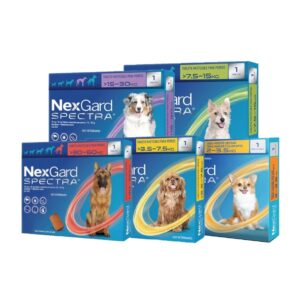 Nexgard Spectra Antiparasitario para Perro