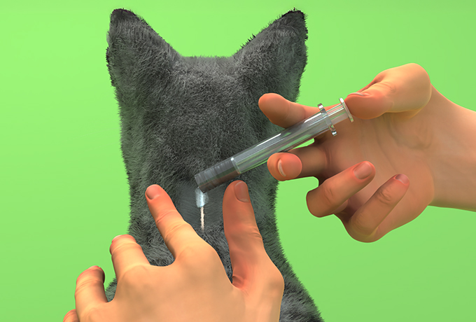 Nexgard Combo para Gatos - Image 3