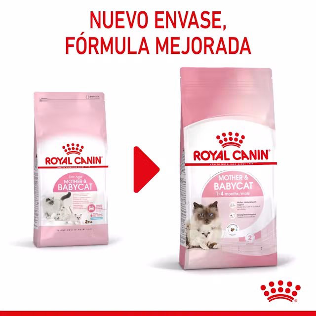 Royal Canin Mother & Babycat para Gatos - Image 5