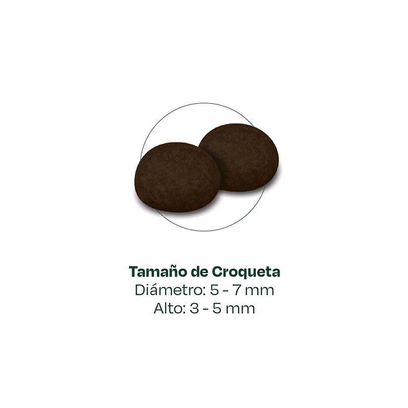 Bonnat Veterinary Diet para Gato Gastrointestinal 2 kg - Image 3