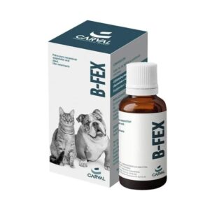 B-FEX Cefalexina Suspension Oral