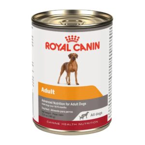 Lata Royal Canin CHN Adulto 382 grs