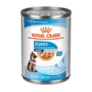 Lata Royal Canin SHN Large Puppy 370 grs