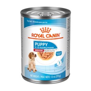 Lata Royal Canin SHN Medium Puppy 370 grs