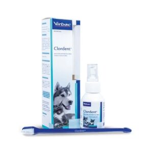 Clordent  + Cepillo