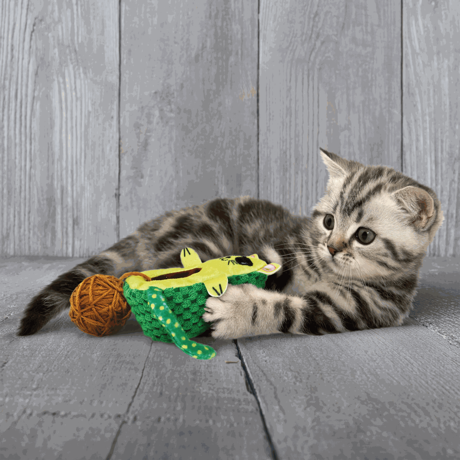 Juguete para Gato Kong Wrangler Aguacate - Image 2