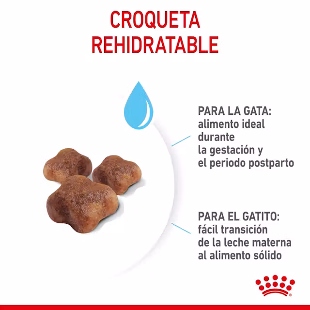 Royal Canin Mother & Babycat para Gatos - Image 2