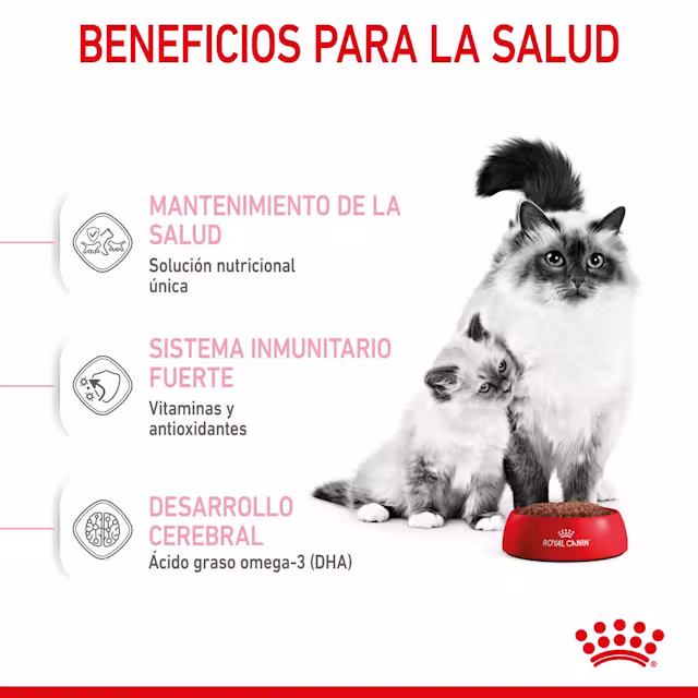 Royal Canin Mother & Babycat para Gatos - Image 4