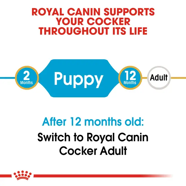 Royal Canin Cocker cachorro 3 Kg - Image 2