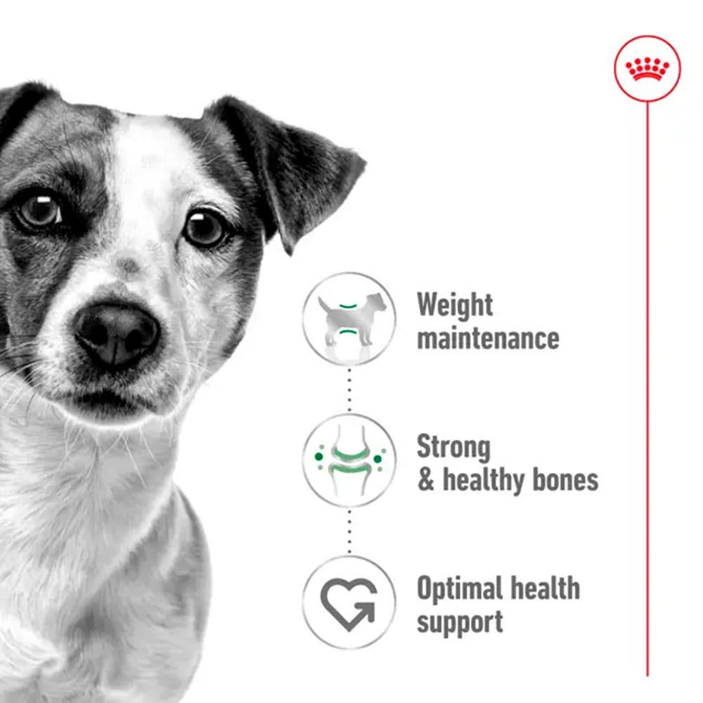 Royal Canin Perros SHN Mini Adulto - Image 3