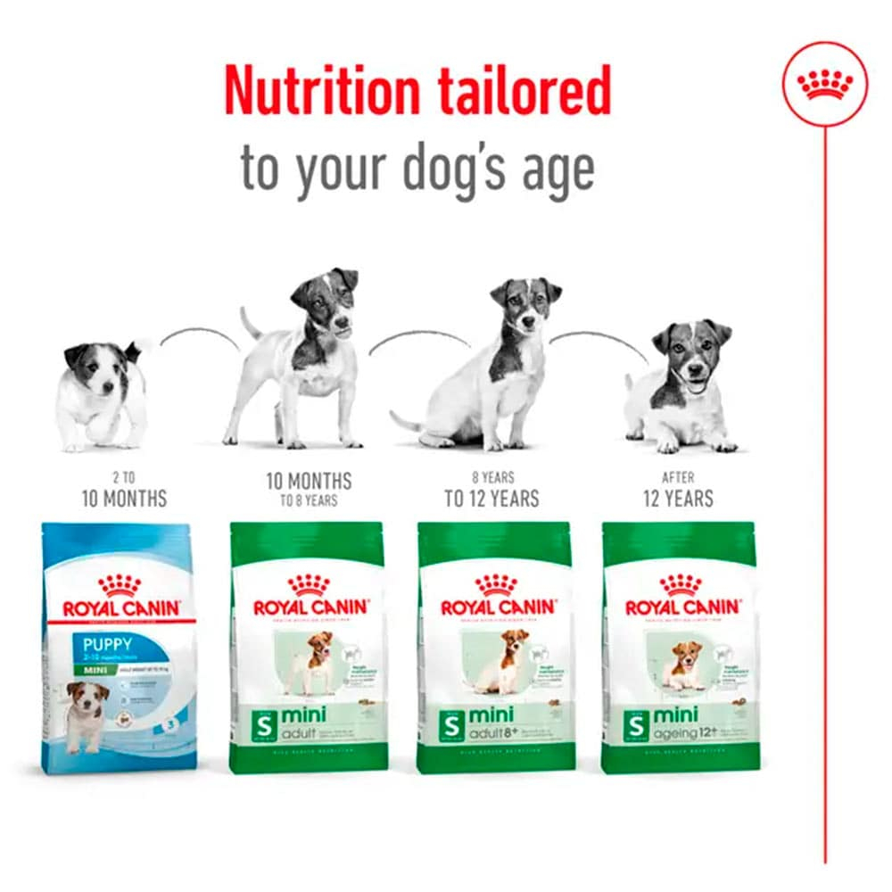 Royal Canin Perros SHN Mini Adulto - Image 4