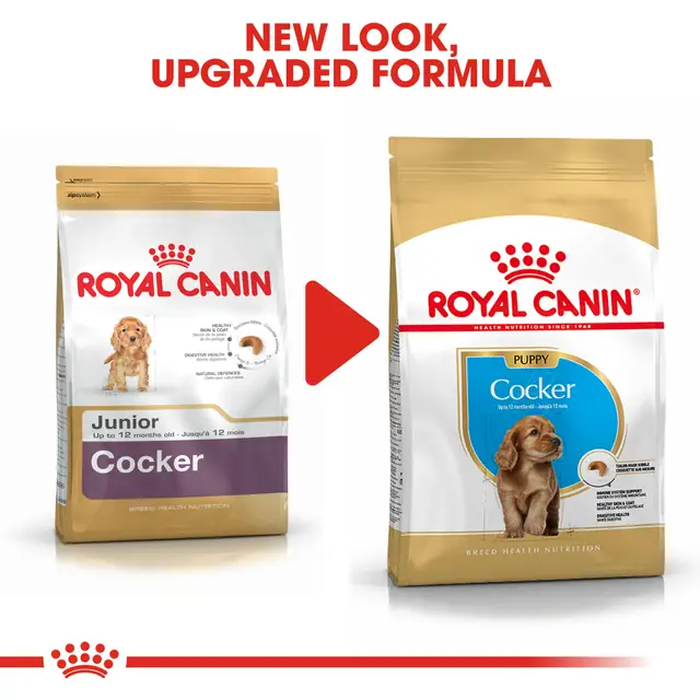 Royal Canin Cocker cachorro 3 Kg - Image 8