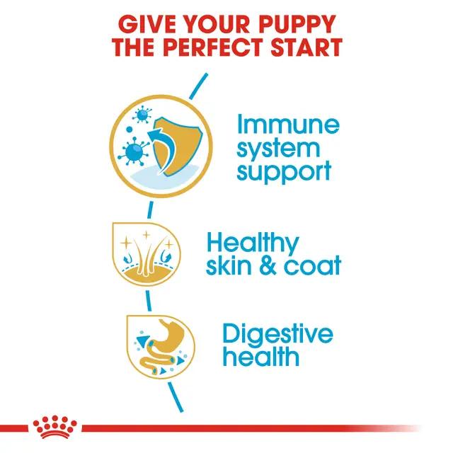 Royal Canin Cocker cachorro 3 Kg - Image 3