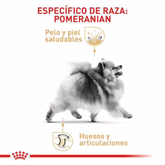 Royal Canin Pomeranian Adulto - Image 4